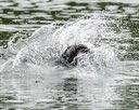 20260823-CWD-0264