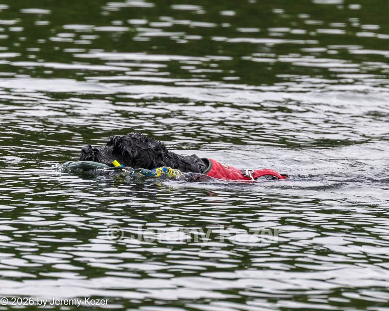 20260823-CWD-0087.jpg