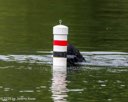 20260823-WWD-0011
