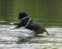 20260823-WWD-0032