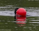20260823-WWD-0070