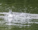 20260823-WWD-0077