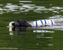 20260823-WWD-0081