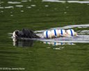 20260823-WWD-0082