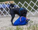 20260823-WWD-0087