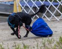 20260823-WWD-0089