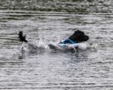 20260823-WWD-0100