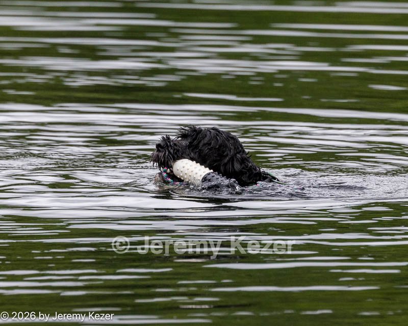 20260823-WWD-0024.jpg