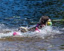 20260829-CWD-0056