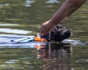 20260829-CWD-0149
