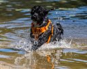 20260829-CWD-0159