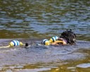 20260829-CWD-0168
