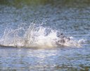 20260829-CWD-0355