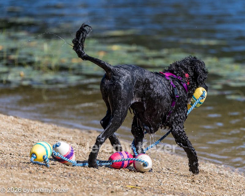 20260829-CWD-0347.jpg