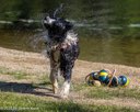 20260829-Master-0059