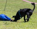 20260829-WWD-0033
