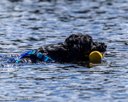 20260829-WWD-0046