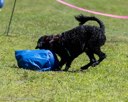 20260829-WWD-0055