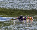 20260829-WWD-0091