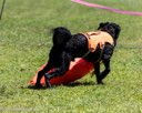 20260829-WWD-0098