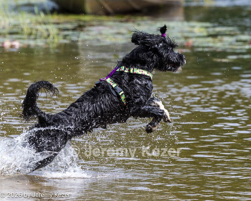 20260830-AWD-0069.jpg