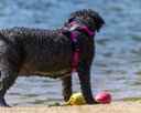 20260830-CWD-0033