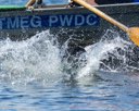 20260830-CWD-0115