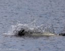 20260830-CWD-0153