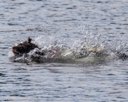 20260830-CWD-0179
