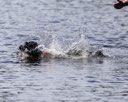 20260830-CWD-0238