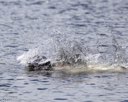 20260830-CWD-0244