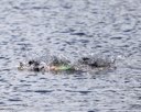 20260830-CWD-0261