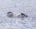 20260830-CWD-0302