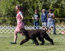 20260925-WC-0172