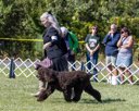 20260925-WC-0103