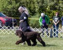 20260925-WC-0104