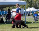 20260925-WC-0116