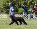 20260925-WC-0120