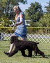 20260925-WC-0028