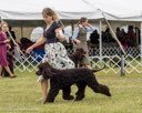 20260926-WC-0247