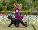 20260926-WC-0128