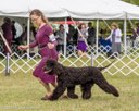 20260926-WC-0135