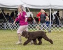 20260926-WC-0145