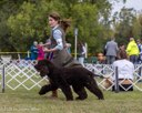 20260926-WC-0108
