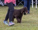 20260926-WC-0056