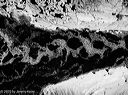 20181211-0058