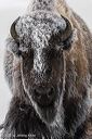 20220211-0342-edit-2-edit