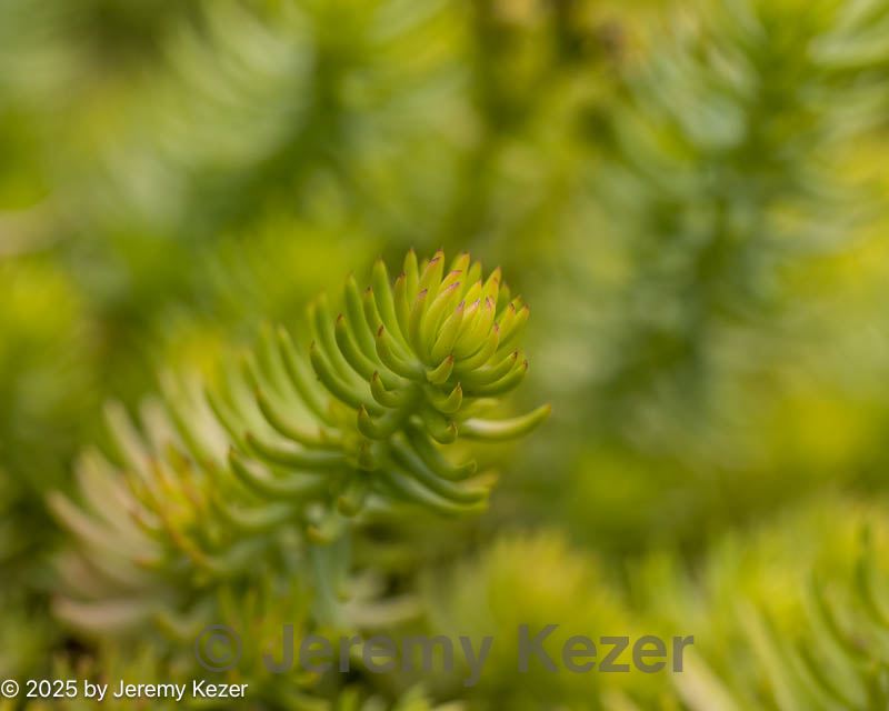 20190716-0037.jpg