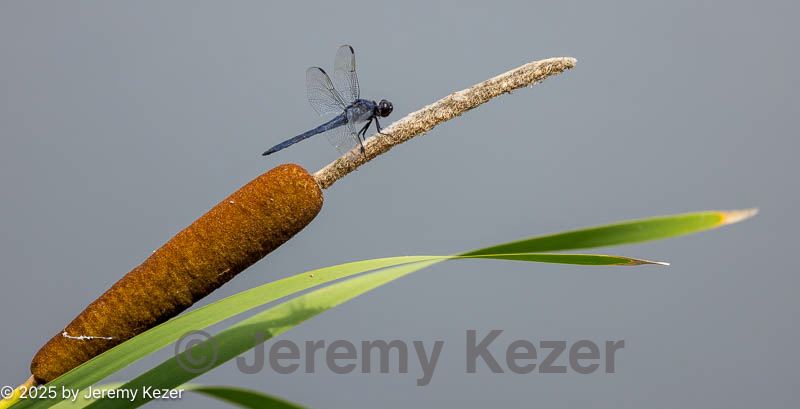 20220724-0016.jpg