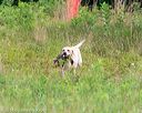 20140712-mha-0173